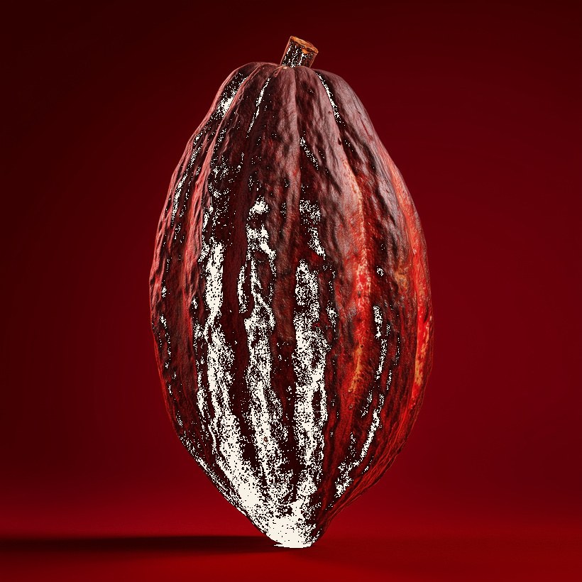 Cocoa pod